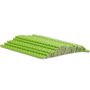 Biodegradable PAPER STRAWS