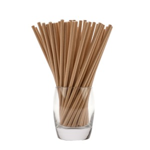 Biodegradable PAPER STRAWS