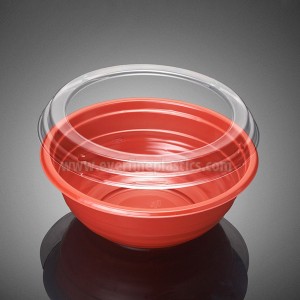 Plastic Bowl and Lid